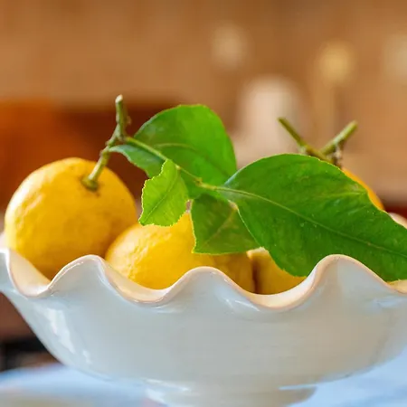 Lejlighed Captain Spiros Delfino *