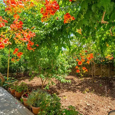 Lejlighed Captain Spiros Delfino Gaios