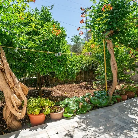 Captain Spiros Delfino * Gaios